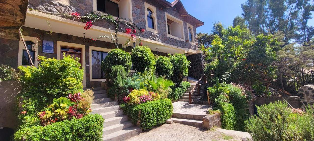 Lalibela Homestay Εξωτερικό φωτογραφία