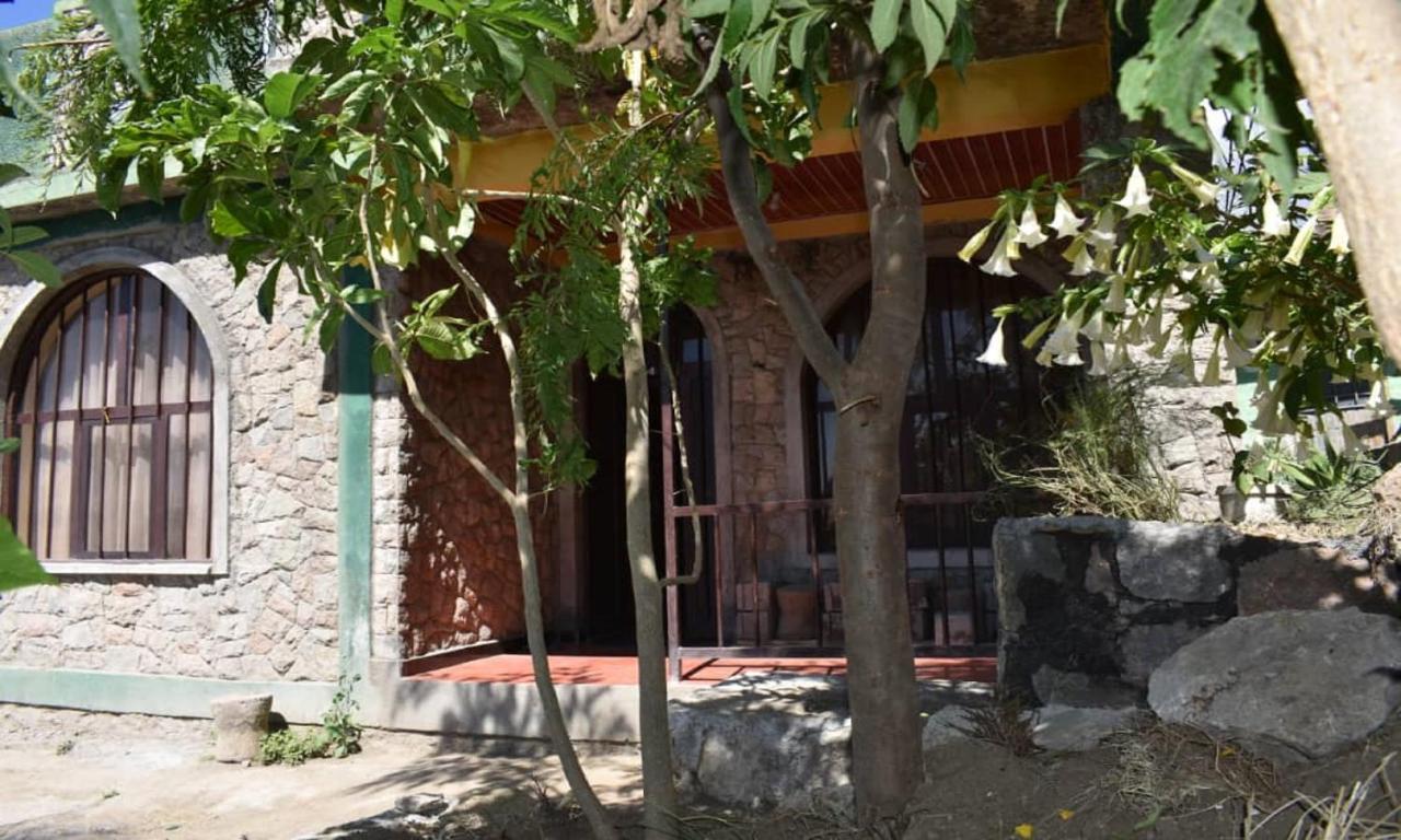 Lalibela Homestay Εξωτερικό φωτογραφία