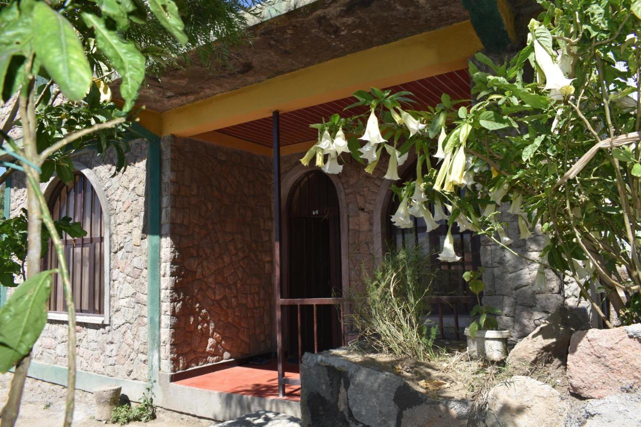 Lalibela Homestay Εξωτερικό φωτογραφία