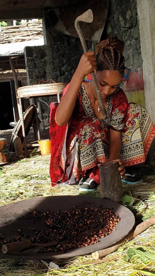 Lalibela Homestay Εξωτερικό φωτογραφία